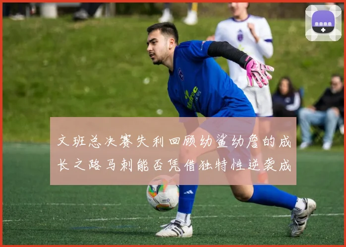 文班总决赛失利回顾幼鲨幼詹的成长之路马刺能否凭借独特性逆袭成功