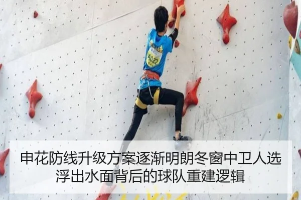 申花防线升级方案逐渐明朗冬窗中卫人选浮出水面背后的球队重建逻辑